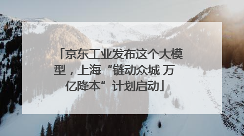 京东工业发布这个大模型，上海“链动众城 万亿降本”计划启动