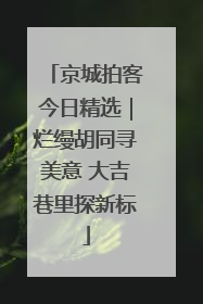 京城拍客今日精选｜烂缦胡同寻美意 大吉巷里探新标