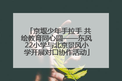 京堰少年手拉手 共绘教育同心圆——东风22小学与北京景风小学开展对口协作活动
