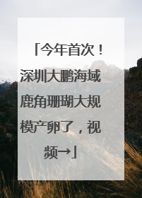 今年首次!深圳大鹏海域鹿角珊瑚大规模产卵了,视频→