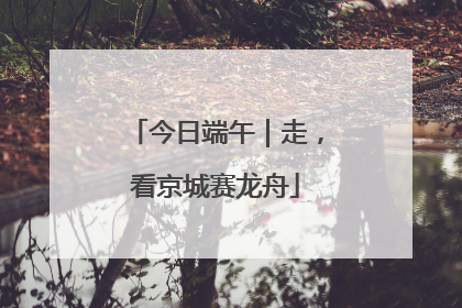 今日端午｜走，看京城赛龙舟