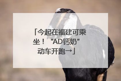 今起在福建可乘坐！“AD钙奶”动车开跑→