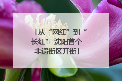 从“网红”到“长红” 沈阳首个非遗街区开街
