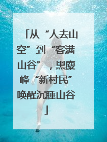 从“人去山空”到“客满山谷”，黑麋峰“新村民”唤醒沉睡山谷
