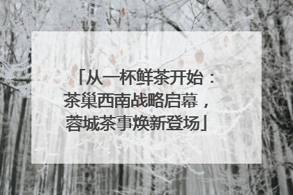 从一杯鲜茶开始：茶巢西南战略启幕，蓉城茶事焕新登场