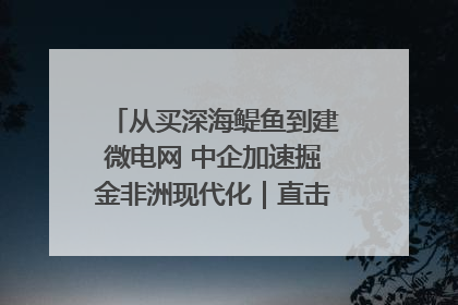 从买深海鳀鱼到建微电网 中企加速掘金非洲现代化｜直击中非经贸博览会