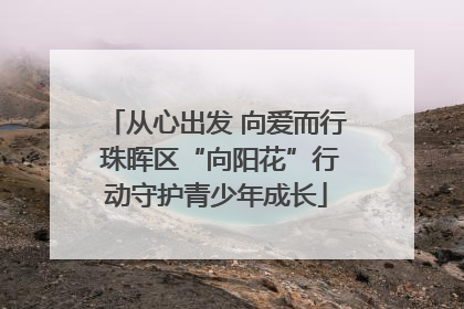 从心出发 向爱而行 珠晖区“向阳花”行动守护青少年成长