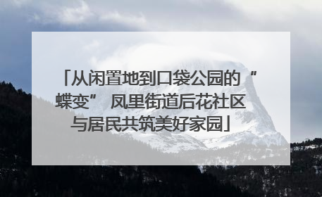 从闲置地到口袋公园的“蝶变” 凤里街道后花社区与居民共筑美好家园