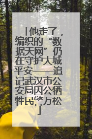 他走了，编织的“数据天网”仍在守护大城平安——追记武汉市公安局因公牺牲民警万松