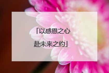 以感恩之心 赴未来之约