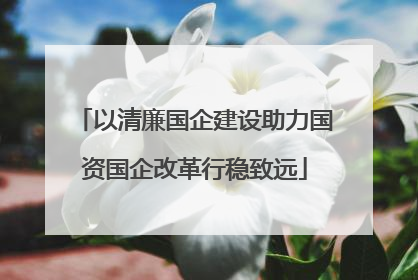 以清廉国企建设助力国资国企改革行稳致远