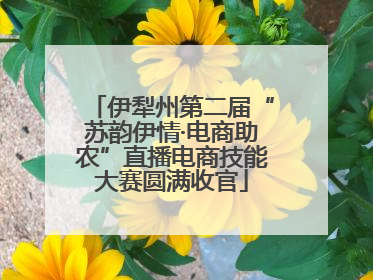 伊犁州第二届“苏韵伊情·电商助农”直播电商技能大赛圆满收官