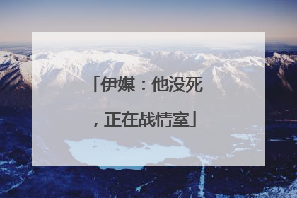 伊媒：他没死，正在战情室
