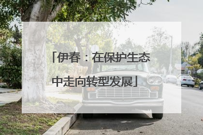 伊春：在保护生态中走向转型发展