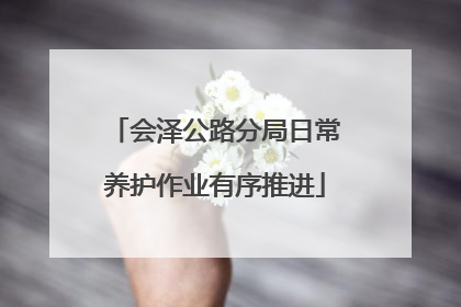 会泽公路分局日常养护作业有序推进
