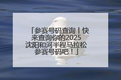 参赛号码查询丨快来查询你的2025沈阳和河半程马拉松参赛号码吧！