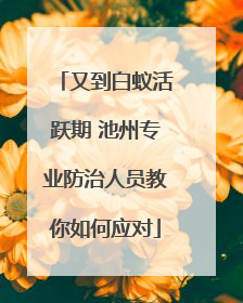 又到白蚁活跃期 池州专业防治人员教你如何应对
