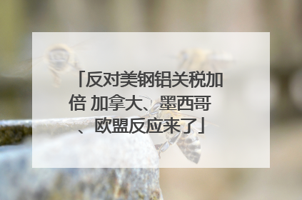 反对美钢铝关税加倍 加拿大、墨西哥、欧盟反应来了