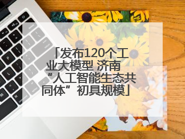 发布120个工业大模型 济南 “人工智能生态共同体”初具规模