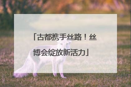 古都携手丝路！丝博会绽放新活力
