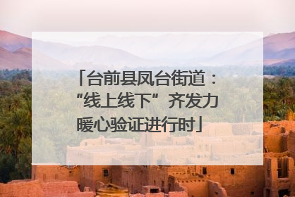 台前县凤台街道：“线上线下”齐发力 暖心验证进行时
