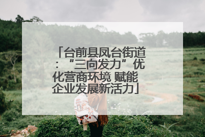 台前县凤台街道：“三向发力”优化营商环境 赋能企业发展新活力