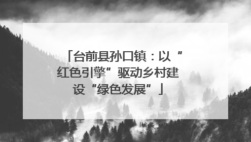 台前县孙口镇：以“红色引擎”驱动乡村建设“绿色发展”