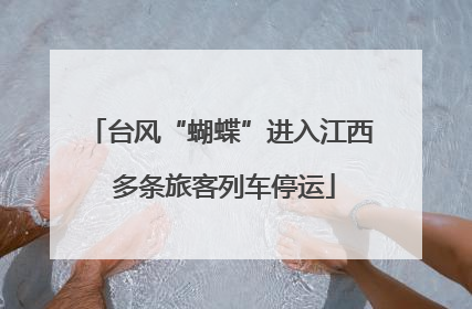 台风“蝴蝶”进入江西 多条旅客列车停运