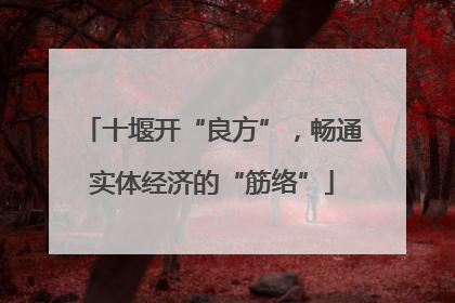 十堰开“良方”，畅通实体经济的“筋络”