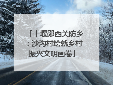 十堰郧西关防乡：沙沟村绘就乡村振兴文明画卷