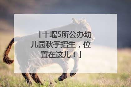 十堰5所公办幼儿园秋季招生，位置在这儿！