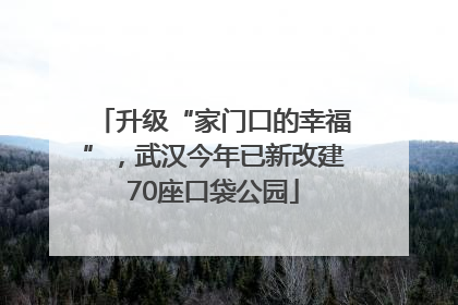 升级“家门口的幸福”，武汉今年已新改建70座口袋公园