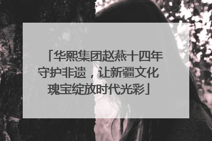 华熙集团赵燕十四年守护非遗，让新疆文化瑰宝绽放时代光彩