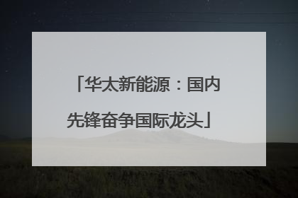 华太新能源：国内先锋奋争国际龙头