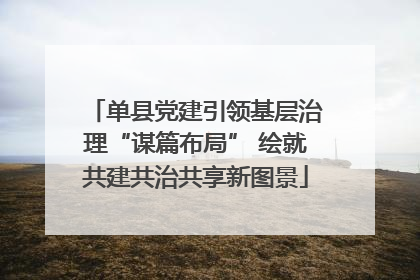 单县党建引领基层治理“谋篇布局” 绘就共建共治共享新图景
