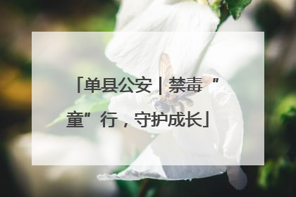 单县公安｜禁毒“童”行，守护成长