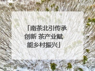 南茶北引传承创新 茶产业赋能乡村振兴