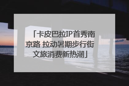 卡皮巴拉IP首秀南京路 拉动暑期步行街文旅消费新热潮