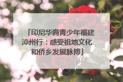 印尼华裔青少年福建漳州行：感受祖地文化和侨乡发展脉搏