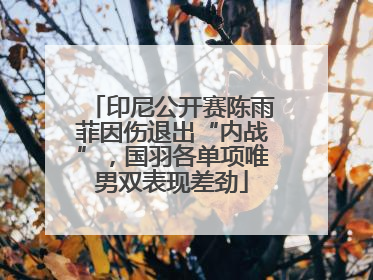 印尼公开赛陈雨菲因伤退出“内战”，国羽各单项唯男双表现差劲