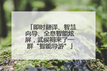 即时翻译、智慧向导、全息智能炫屏，武侯祠来了一群“智能导游”