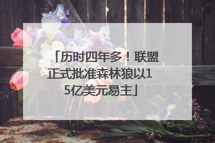 历时四年多！联盟正式批准森林狼以15亿美元易主
