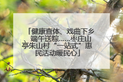 健康查体、戏曲下乡、端午送粽……枣庄山亭朱山村“一站式”惠民活动暖民心