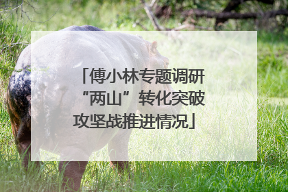 傅小林专题调研“两山”转化突破攻坚战推进情况
