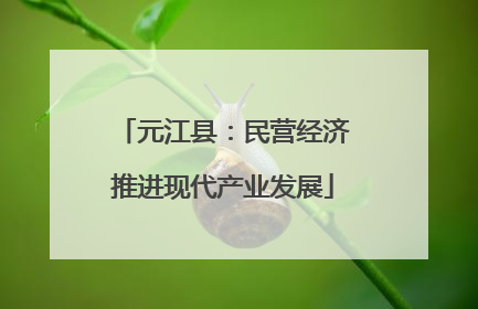 元江县：民营经济推进现代产业发展