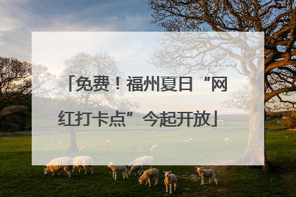 免费！福州夏日“网红打卡点”今起开放