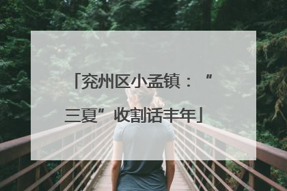 兖州区小孟镇：“三夏”收割话丰年