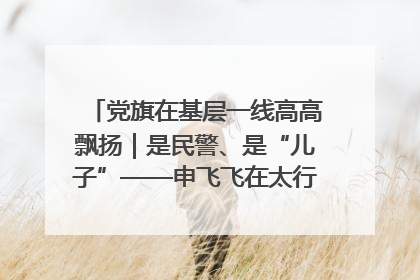 党旗在基层一线高高飘扬｜是民警、是“儿子”——申飞飞在太行山中的一线坚守