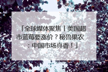 全球媒体聚焦丨美国超市蓝莓要涨价？秘鲁果农：中国市场真香！