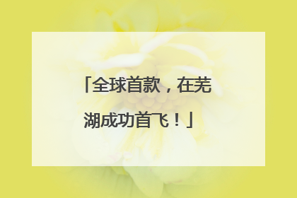 全球首款，在芜湖成功首飞！